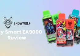 Snowwolf Easy Smart EA9000 Disposable Vape Review