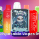 Top 10 Best Disposable Vapes