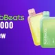 RabBeats RC10000 Disposable Vape Review