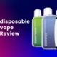 Double Drip Disposable Vape Review