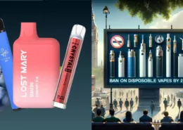 ELFBAR branded disposable vapes represent a major Chinese brand facing significant impacts from the sales prohibition in the UK market
