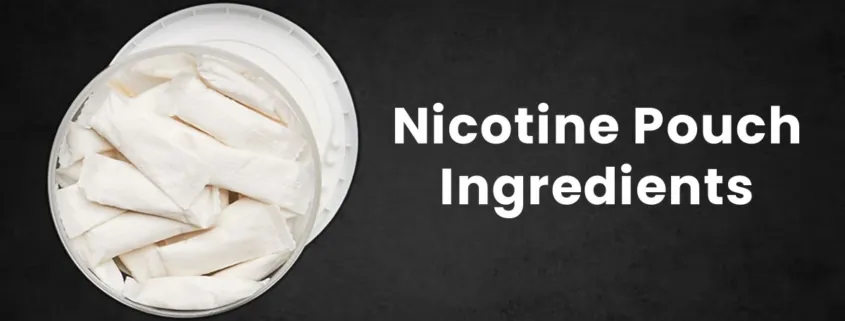 Nicotine Pouch Ingredients Explained