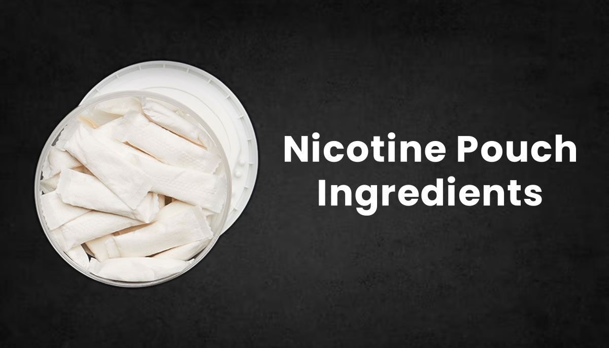 Nicotine Pouch Ingredients Explained Ecigator