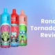 RandM Tornado 9000 Disposable Vape Review