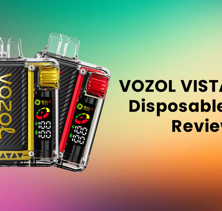 VOZOL VISTA 16000 Disposable Vape Review