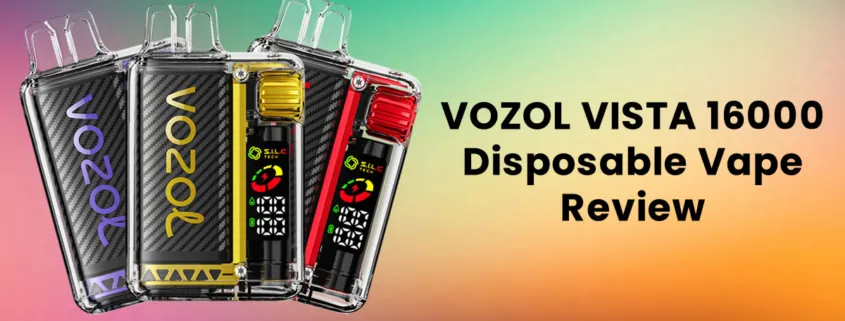VOZOL VISTA 16000 Disposable Vape Review