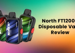 North FT12000 Disposable Vape Review 9 North FT12000 Disposable Vape Review