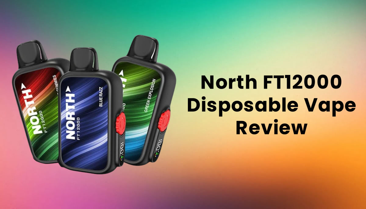 North FT12000 Disposable Vape Review and User Guide | Best Disposable Vape  2024!