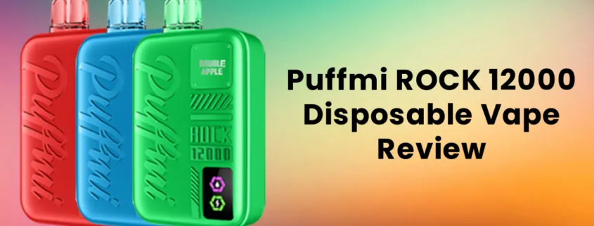 Puffmi ROCK 12000 Disposable Vape Review