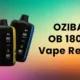 OZIBAR OB 18000 Disposable Vape Review