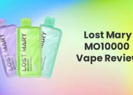 Lost Mary MO10000 Disposable Vape Review