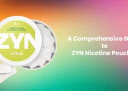 A Comprehensive Guide to ZYN Nicotine Pouches