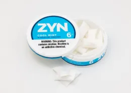 1715239149 what are ZYN Nicotine Pouches