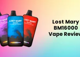 Lost Mary BM16000 Disposable Vape Review