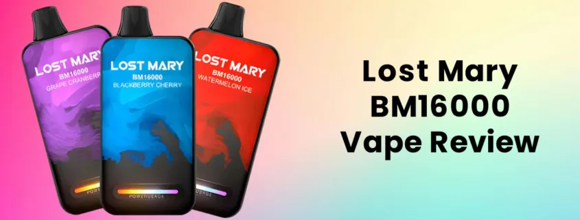 Lost Mary BM16000 Disposable Vape Review