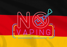 1720009384 Germany calls for disposable vape ban