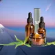 traveling with CBD oil plane 2024