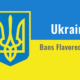 Ukraine Bans Flavored Vapes