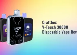 Craftbox V-Touch 30000 Puffs Disposable Vape Review