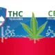 CBD THC laws regulations Slovenia