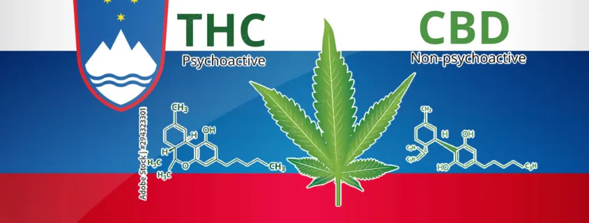 CBD THC laws regulations Slovenia