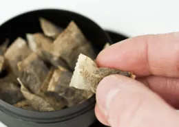 Snus & Nicotine Pouches: Proven Harm Reduction Tools 9 1721304387 Sweden snus