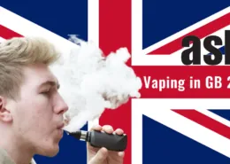 Vaping Trends Great Britain 2024