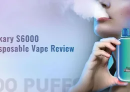 Sikary S6000 Disposable Vape Review
