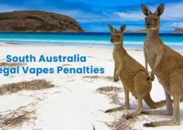 South Australia Illegal Vapes Tobacco Penalties