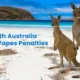 South Australia Illegal Vapes Tobacco Penalties