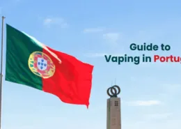 Guide to Vaping in Portugal