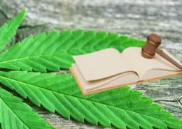 Hemp bill bans synthetic THC