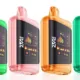 Are Raz Disposable Vapes Worth It? 2025 Buyer's Guide 14 RAZ DC25000 Flavors