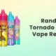 RandM Tornado 15000 Puffs Disposable Vape Review