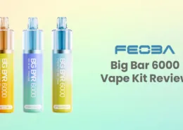 Feoba Big Bar 6000 Disposable Vape Kit Review
