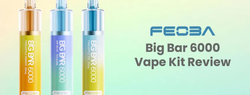 Feoba Big Bar 6000 Disposable Vape Kit Review