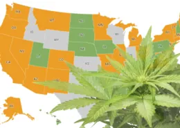 marijuana legalization in the USA