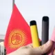 Kyrgyz Republic bans e-cigarettes protect health