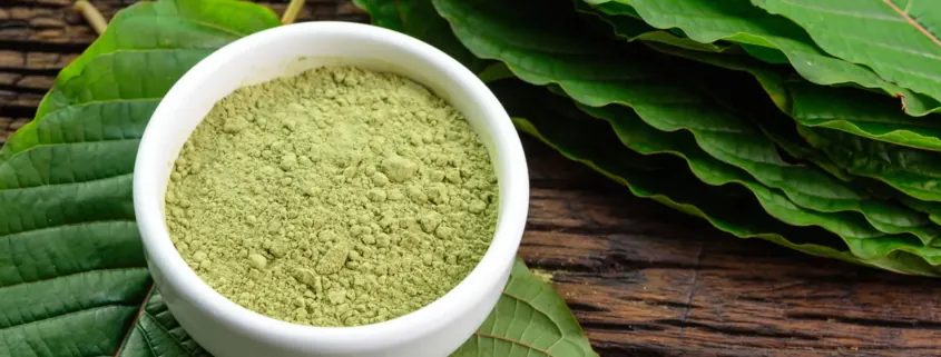 Best Kratom Vendors