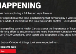 1733840855 Canada vape flavour restrictions