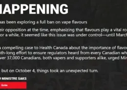 1733840855 Canada vape flavour restrictions