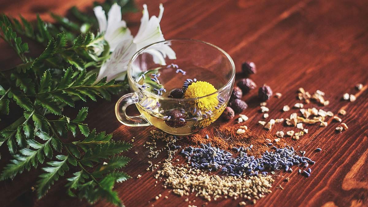 potent ancient herbs potent ancient herbs