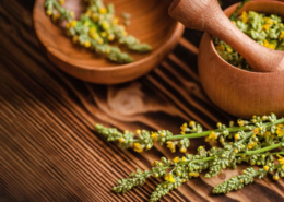Ancient Herbs and Their Role in Modern Wellness Trends