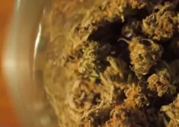 Louisiana THC CBD regulations 2025