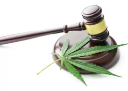 Louisiana marijuana laws