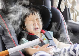 Idaho smoking cars children laws