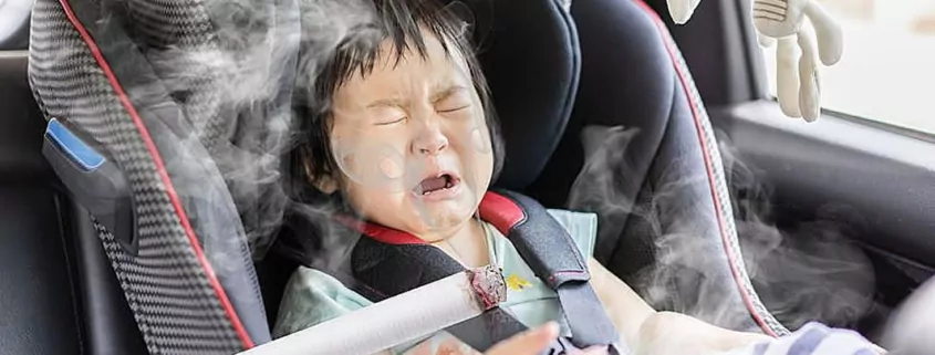 Idaho smoking cars children laws