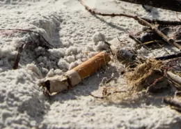 Florida law allows smoking bans beaches