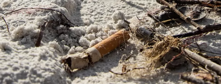 Florida law allows smoking bans beaches