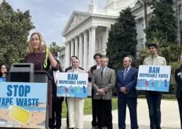 California ban disposable e-cigarettes